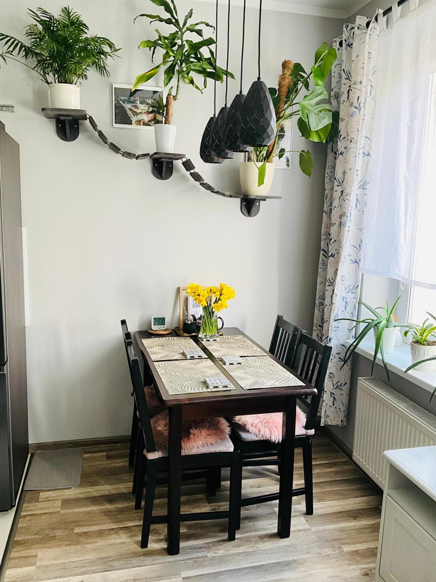 Apartament Na Starym Miescie Boleslawiec  Exteriör bild